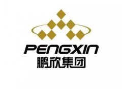 实施“投资+并购”、“财产+金融”双轮驱